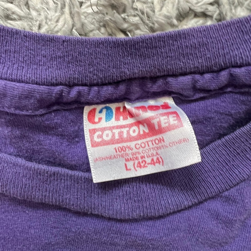 Vintage Hanes Cotton Tee 80s 90s‎ Purple T-Shirt Large (42-44) Single Stitch USA